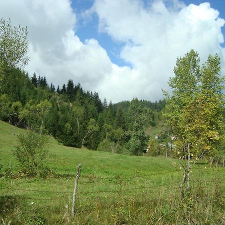 Kuma Lissa Guest House Kozhari Dış mekan fotoğraf
